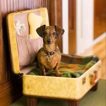 Cala Puntal Appartement *