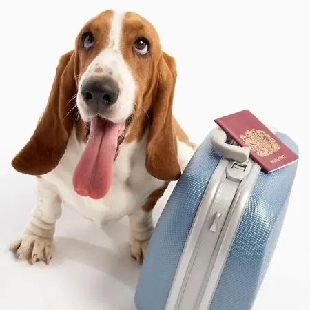 Appartement Cala Puntal Vinarós