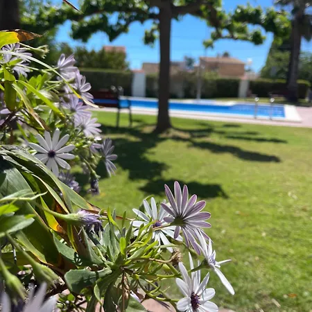 Cala Puntal Appartement