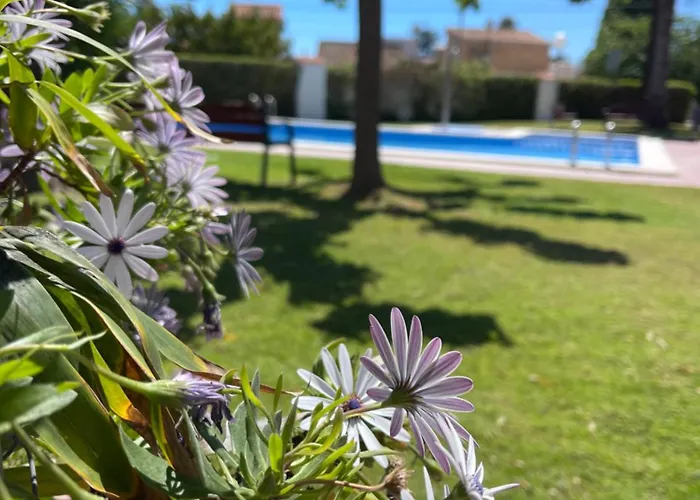 Cala Puntal 아파트