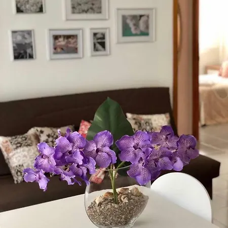Cala Puntal Apartment Vinaros