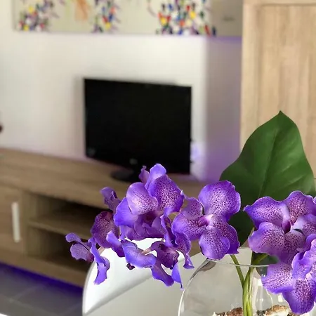 Cala Puntal * Vinarós